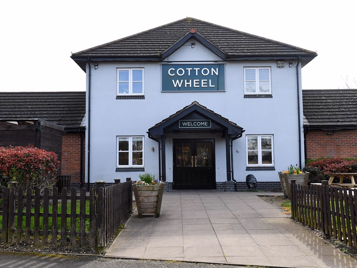 What to eat at Mediterranean kebab house?