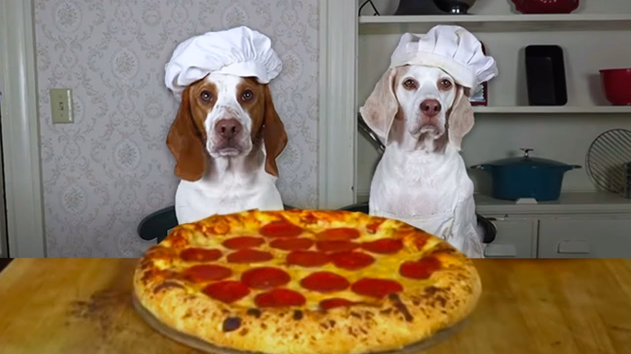 Can dogs eat pizza sauce?