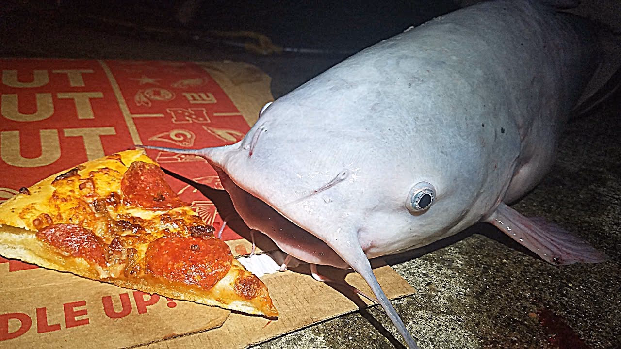 What is fish eat fish 3 players?