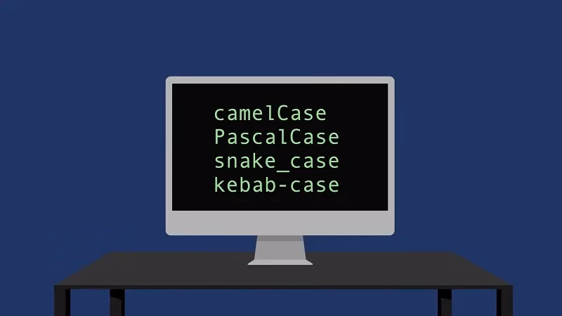 Why is it called a kebab-case?