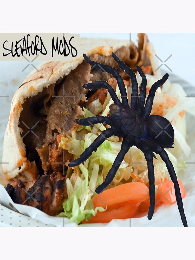 Who are Sleaford Mods?