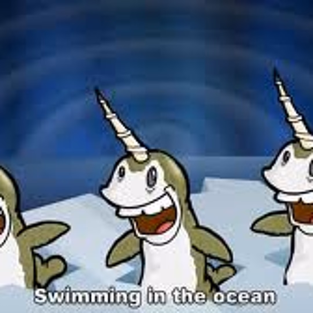 What is narwhals lyrics?