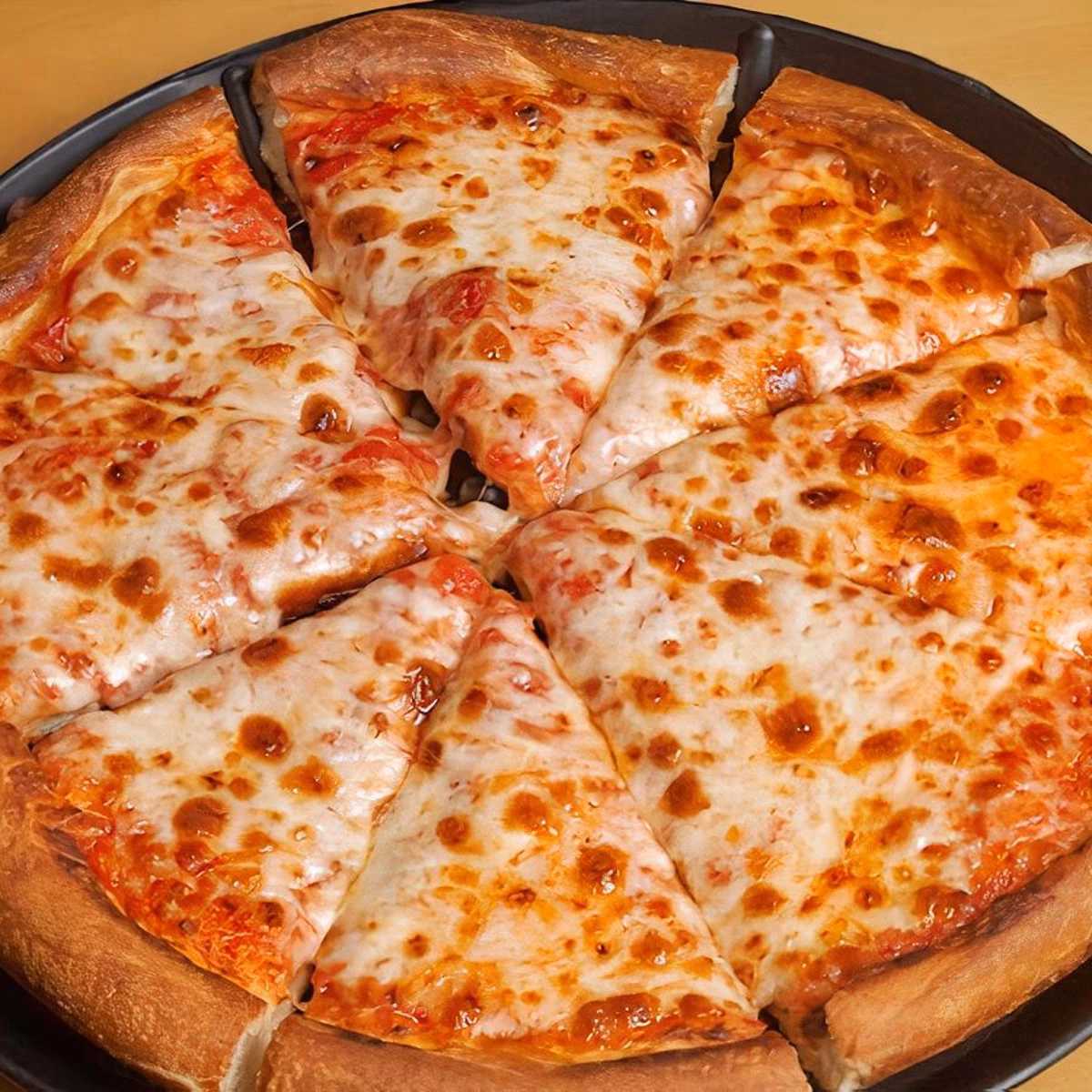 How can I contact Paxton House?