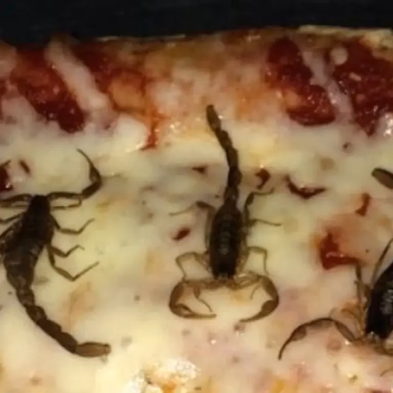 Are 91 pizza varieties legit?